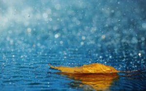 關(guān)于秋雨的作文400字
