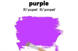 紫色的英語 purple怎么讀
