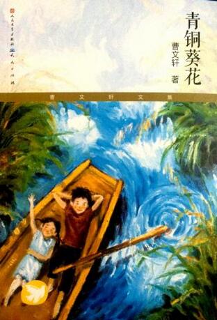 青銅葵花讀后感200字
