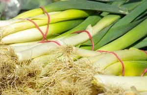 立冬吃什么傳統(tǒng)食物