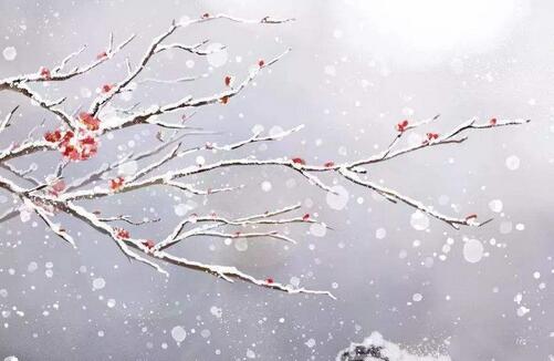 盧鉞雪梅古詩的意思
