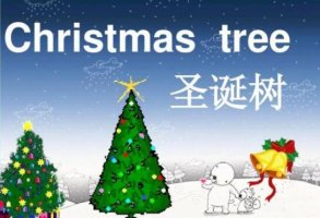 圣誕樹(shù)英文單詞 christmas tree怎么讀