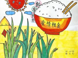 節(jié)約糧食繪畫圖片（34p）