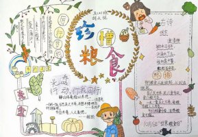 節(jié)約糧食手抄報圖片簡單又漂亮（30p）