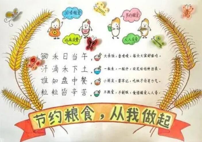 節(jié)約糧食手抄報(bào)圖片簡(jiǎn)單又漂亮