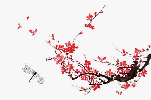 陳亮梅花古詩帶拼音版