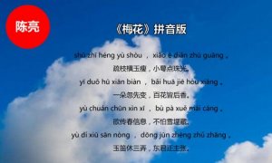 陳亮梅花古詩帶拼音版