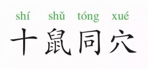 成語(yǔ)故事：十鼠同穴
