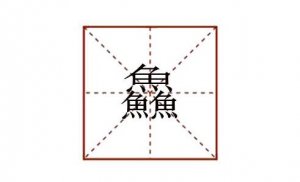 三個魚字念什么 鱻讀什么