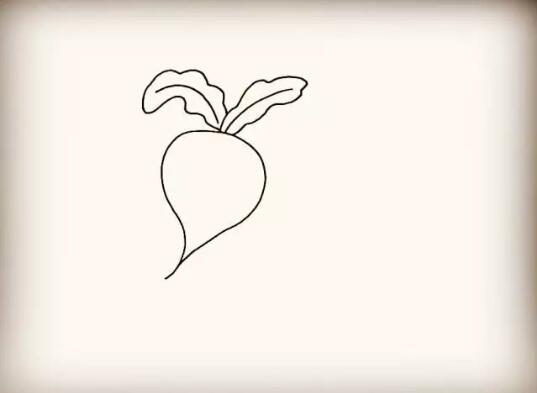 蔬菜蘿卜簡(jiǎn)筆畫(huà)教程圖片