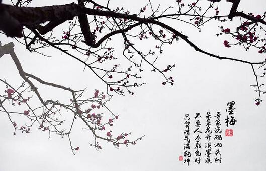 王冕墨梅古詩(shī)翻譯