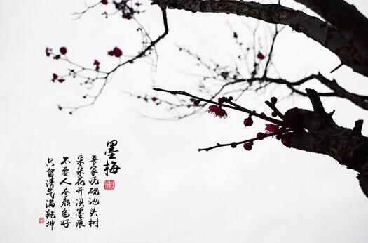 王冕墨梅古詩(shī)賞析