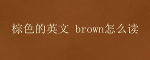 棕色的英文 brown怎么讀