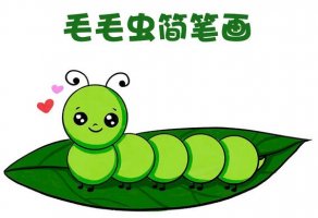 用硬幣畫毛毛蟲簡筆畫教程圖片