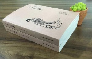 紅樓夢讀后感800字