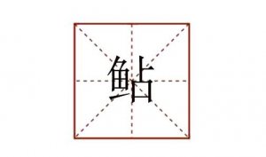 魚占念什么 鲇怎么讀音
