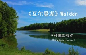 瓦爾登湖讀后感600字