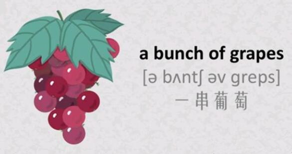 葡萄的英語單詞 grape怎么讀