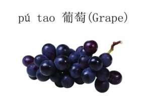 葡萄的英語(yǔ)單詞 grape怎么讀