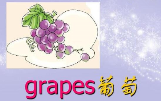 葡萄的英語單詞 grape怎么讀