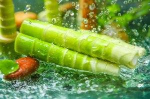 怎么洗菜？快來看看，這些洗菜誤區(qū)你犯過嗎？