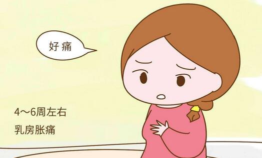懷孕多久會(huì)有反應(yīng)