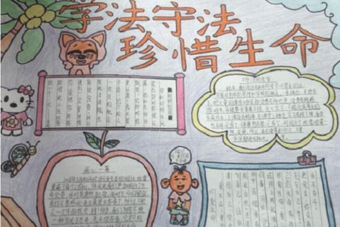 法制手抄報內容圖片