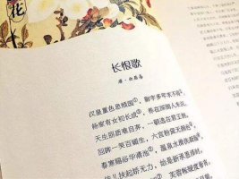 長恨歌讀后感500字3篇