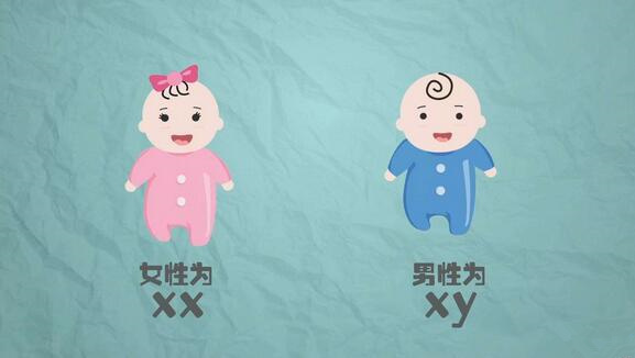 是時候該告訴你，生男生女有秘籍啦