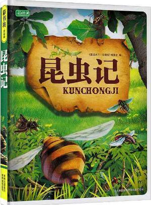 法布爾昆蟲記讀后感600字