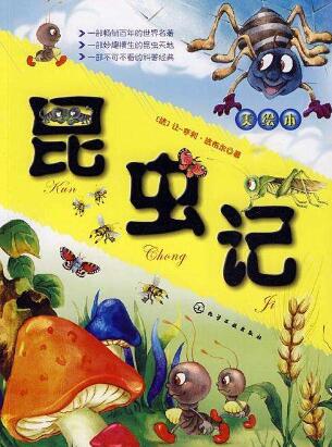 法布爾昆蟲記讀后感600字