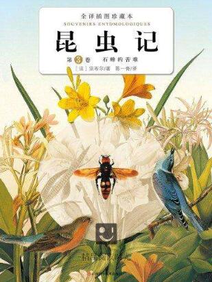 法布爾昆蟲記讀后感600字