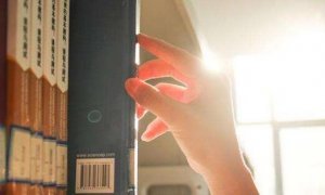 推薦一本書作文500字五年級