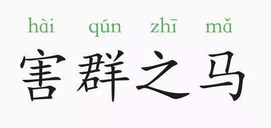 害群之馬的意思和故事