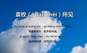 所見(jiàn)清袁枚古詩(shī)帶拼音版 意思及賞析