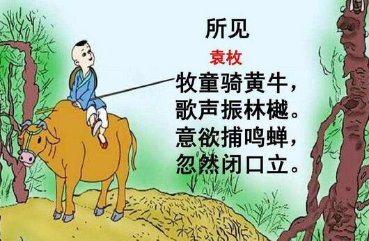 所見(jiàn)清袁枚古詩(shī)帶拼音版