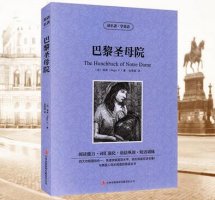 巴黎圣母院讀后感800字