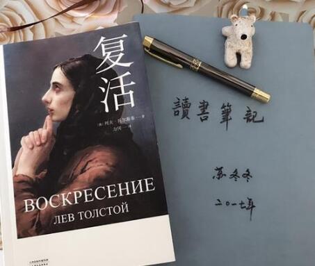 《復(fù)活》讀后感600字