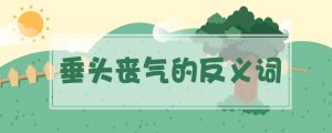 垂頭喪氣的反義詞是什么