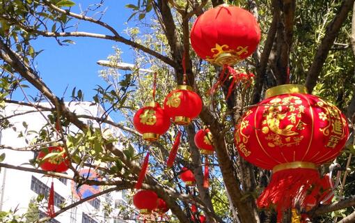 春節(jié)見聞作文500字