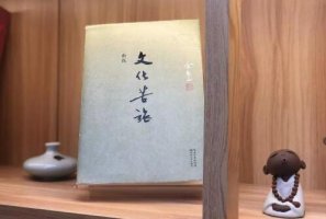 余秋雨《文化苦旅》讀后感精選三篇