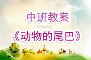 幼兒園中班教案《動物的尾巴》含反思