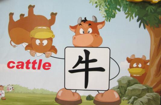 “牛”的英文單詞是：cattle