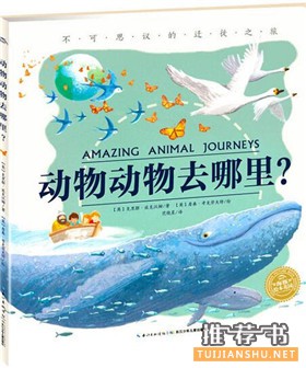 有關(guān)于動(dòng)物的故事繪本：關(guān)于動(dòng)物的繪本故事