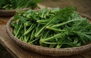 冬天吃這四種蔬菜更養(yǎng)生