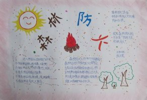 森林防火手抄報圖片簡單漂亮（50p）