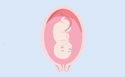 胎盤能吃嗎？胎盤要怎么處理？
