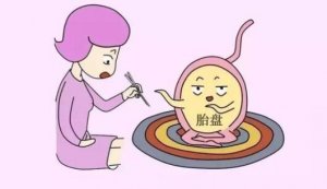 胎盤能吃嗎？胎盤要怎么處理？