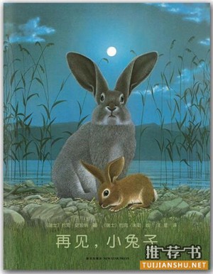 生命教育：關于生命教育，關于死亡的繪本推薦