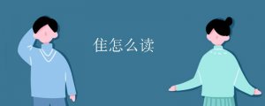 隹怎么讀拼音